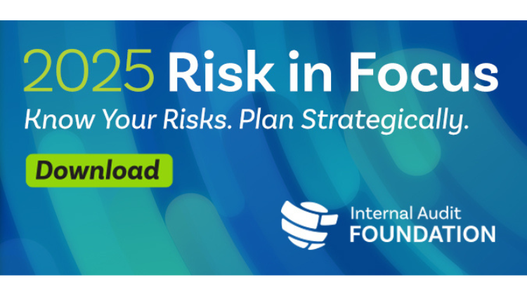 Risk in Focus 2025