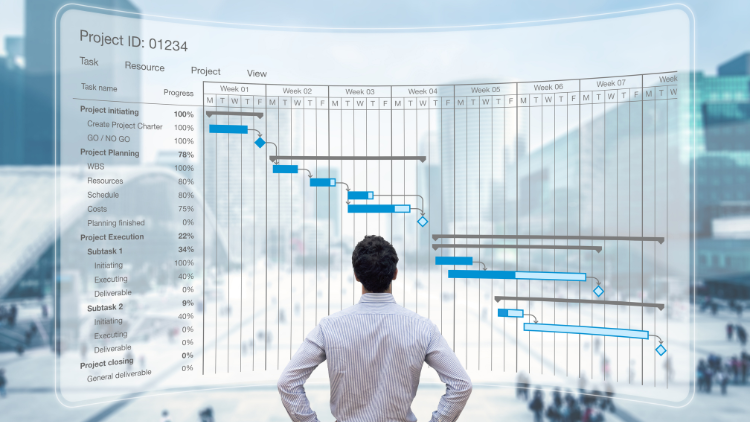 Auditing Projects and Project Management