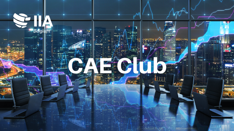 CAE Club:  AI & Audit